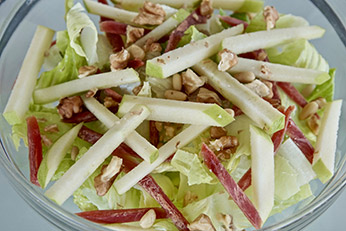 insalata